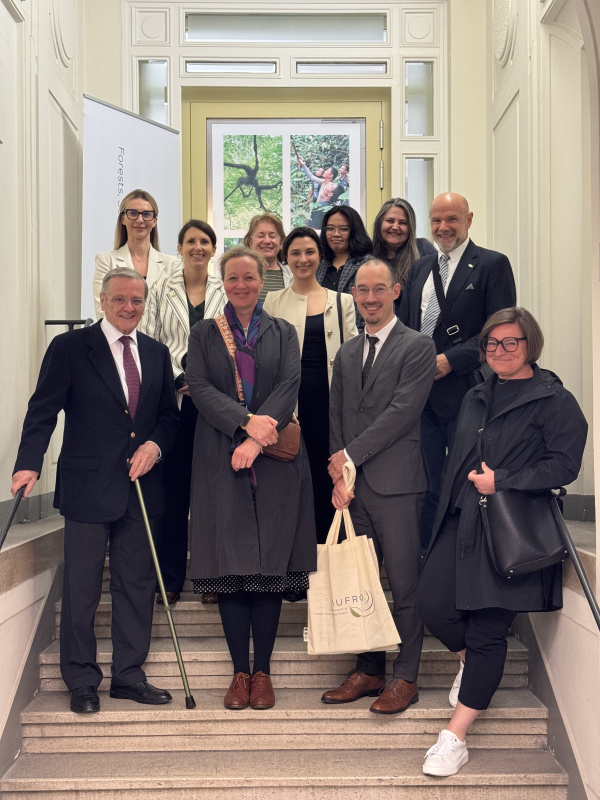 Die Besucher von der Eva Mayr-Stihl Stiftung mit dem IUFRO Team auf einer Treppe.